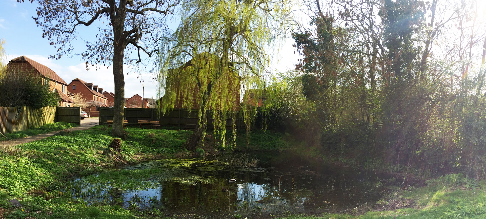 sbepond1small Shenley Brook End & Tattenhoe Parish Council