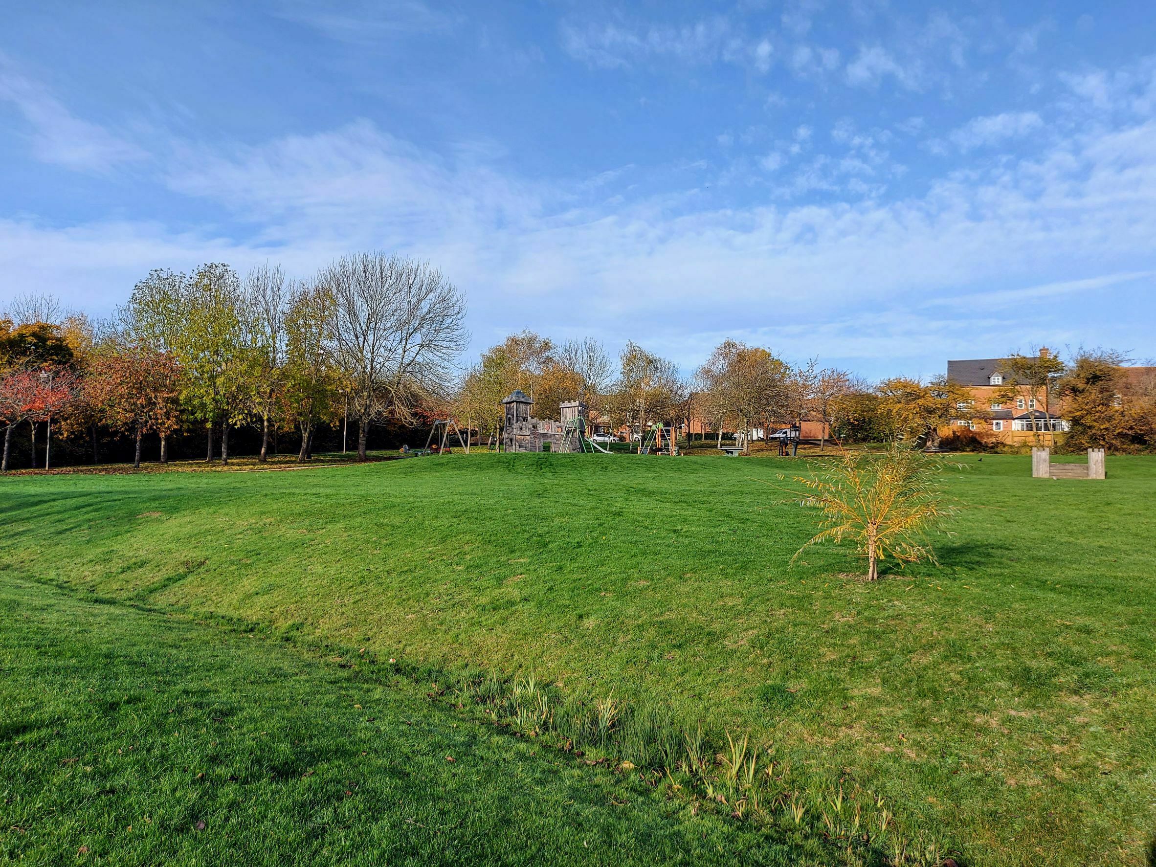 Wide view of grassy park with trees and play area at the furthest edge
