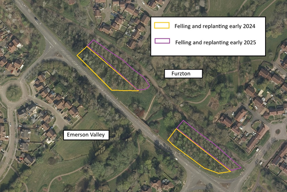 Aerial view of two plantations to be thinned