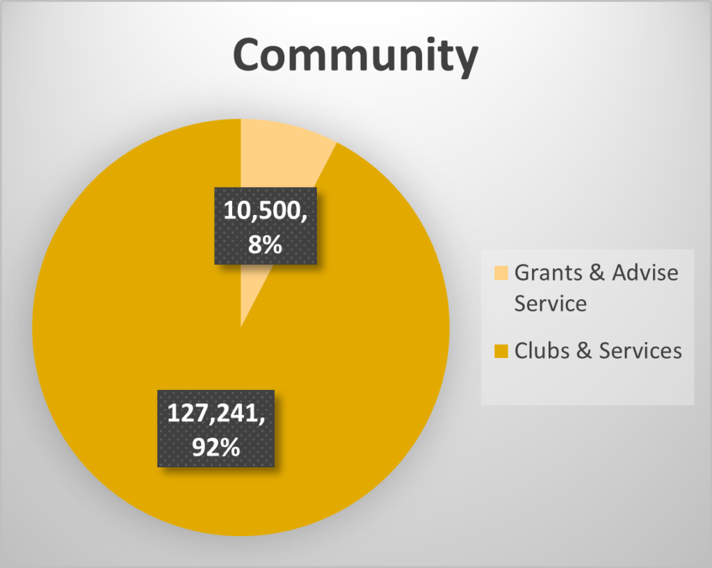 Pie chart showing expenditure on parish council community activities