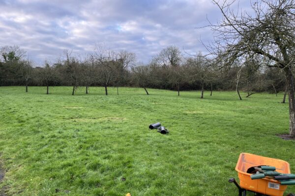 IMG_1207 Wide shot of Hengistbury Lane Orchard before planting new saplings